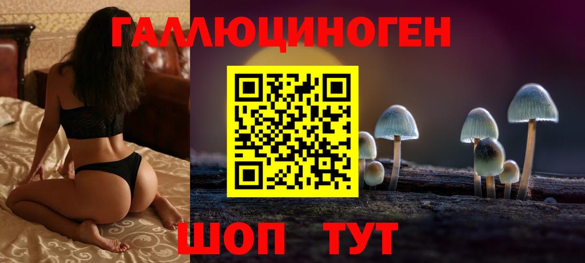 Галлюциногенные грибы Psilocybe  Вход с VPN  Сокол  Галлюциногенные грибы мухоморы 