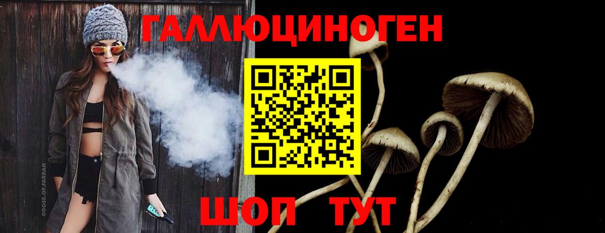 Псилоцибиновые грибы GOLDEN TEACHER Сокол