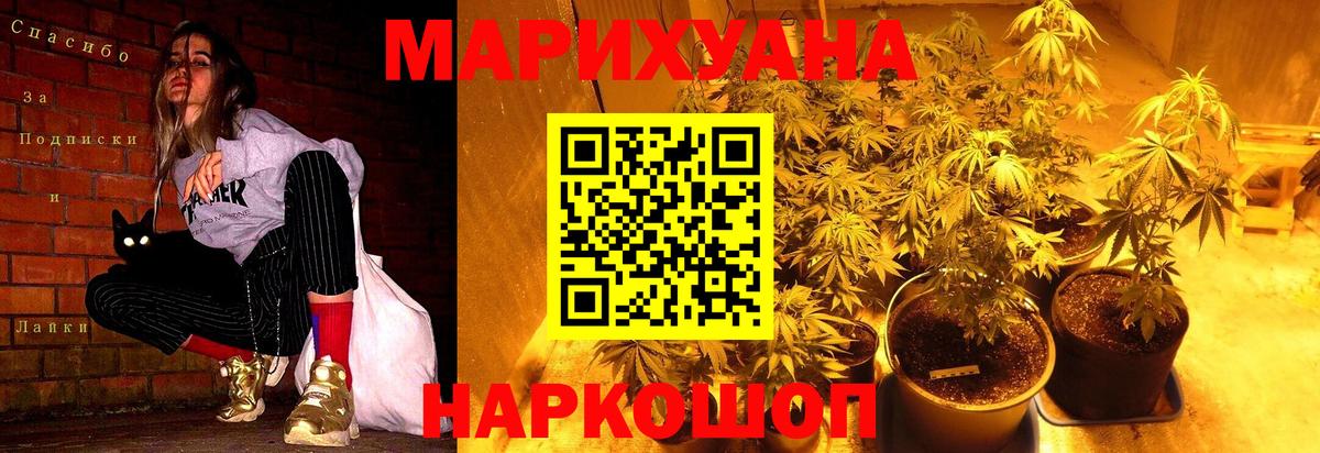 Бошки Шишки гибрид Сокол